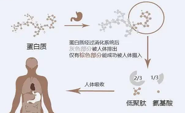 選擇離心濃縮儀時(shí)應(yīng)該注意哪些事項(xiàng)呢？